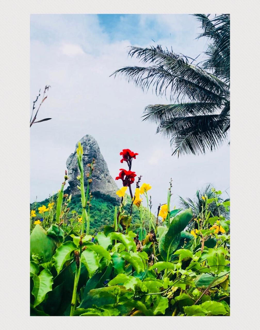 Pousada Morro Do Pico Fernando de Noronha Exteriér fotografie